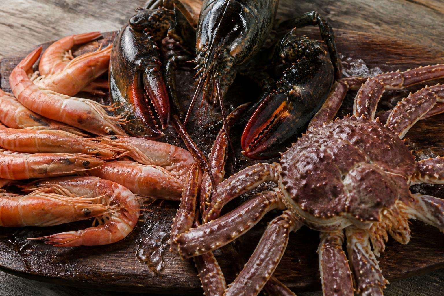 Variété de crustacés : crevettes, homard et araignée de mer